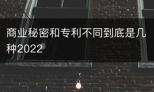 商业秘密和专利不同到底是几种2022