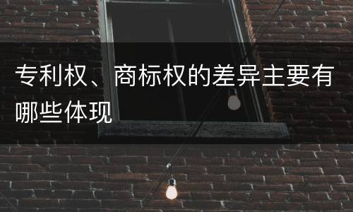 专利权、商标权的差异主要有哪些体现