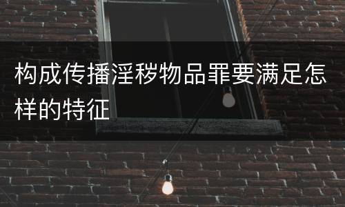 构成传播淫秽物品罪要满足怎样的特征