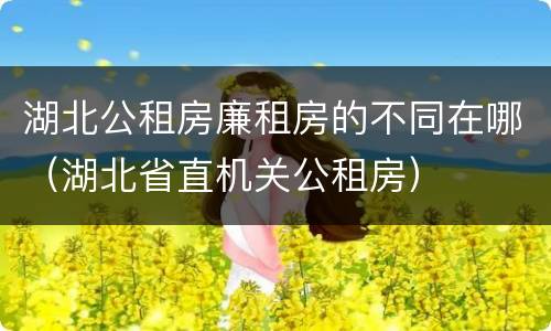 湖北公租房廉租房的不同在哪（湖北省直机关公租房）