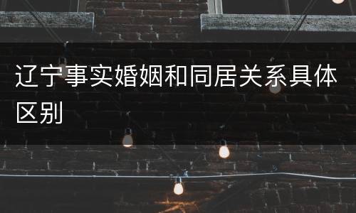 辽宁事实婚姻和同居关系具体区别