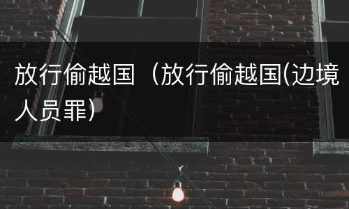 放行偷越国（放行偷越国(边境人员罪）