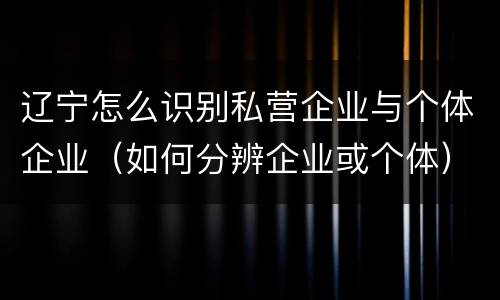 辽宁怎么识别私营企业与个体企业（如何分辨企业或个体）