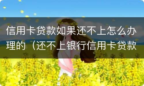 信用卡贷款如果还不上怎么办理的（还不上银行信用卡贷款会有什么后果）