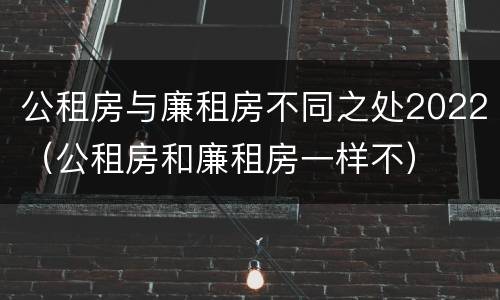 公租房与廉租房不同之处2022（公租房和廉租房一样不）