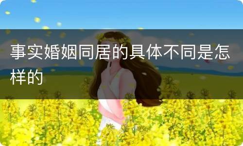 事实婚姻同居的具体不同是怎样的