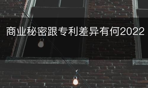 商业秘密跟专利差异有何2022