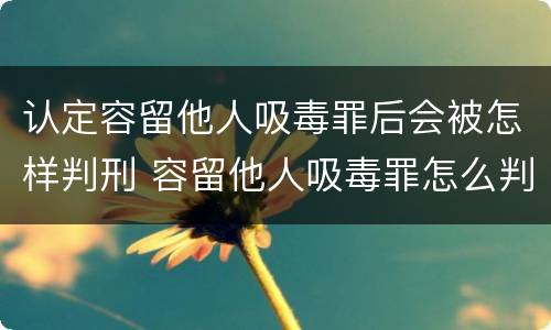 认定容留他人吸毒罪后会被怎样判刑 容留他人吸毒罪怎么判