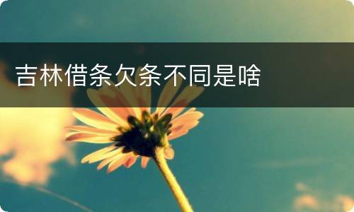 吉林借条欠条不同是啥