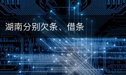 湖南分别欠条、借条