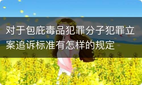 对于包庇毒品犯罪分子犯罪立案追诉标准有怎样的规定