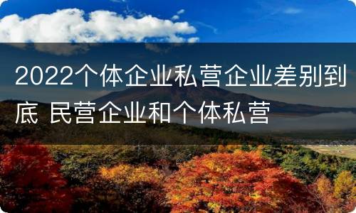2022个体企业私营企业差别到底 民营企业和个体私营