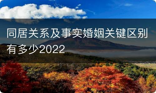 同居关系及事实婚姻关键区别有多少2022