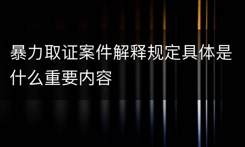 暴力取证案件解释规定具体是什么重要内容