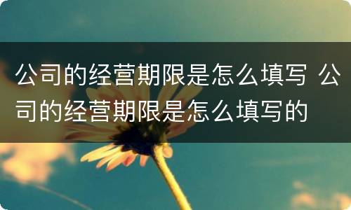 公司的经营期限是怎么填写 公司的经营期限是怎么填写的