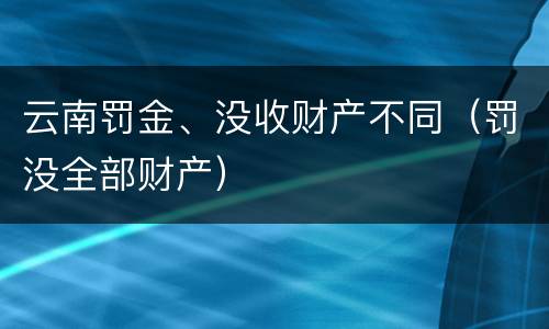 云南罚金、没收财产不同（罚没全部财产）