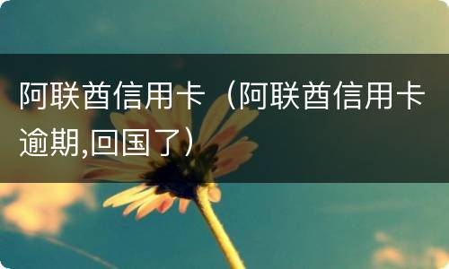 阿联酋信用卡（阿联酋信用卡逾期,回国了）
