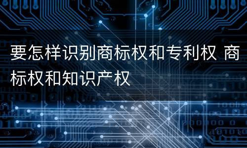 要怎样识别商标权和专利权 商标权和知识产权