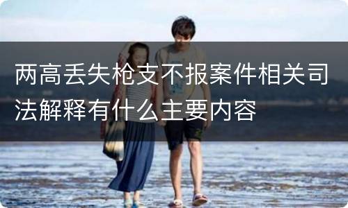 两高丢失枪支不报案件相关司法解释有什么主要内容