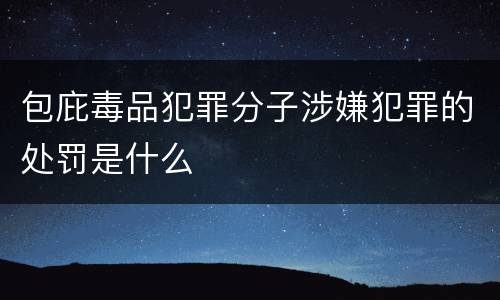 包庇毒品犯罪分子涉嫌犯罪的处罚是什么