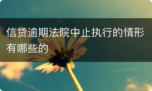 信贷逾期法院中止执行的情形有哪些的