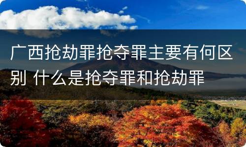 广西抢劫罪抢夺罪主要有何区别 什么是抢夺罪和抢劫罪
