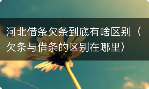 河北借条欠条到底有啥区别（欠条与借条的区别在哪里）