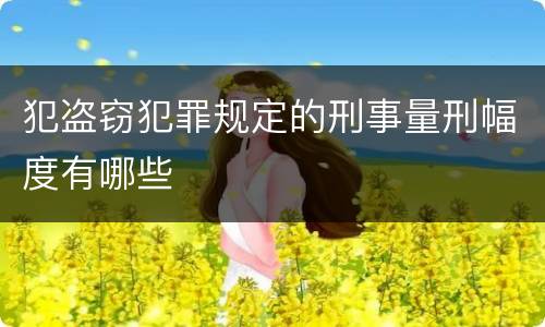 犯盗窃犯罪规定的刑事量刑幅度有哪些