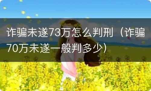 诈骗未遂73万怎么判刑（诈骗70万未遂一般判多少）