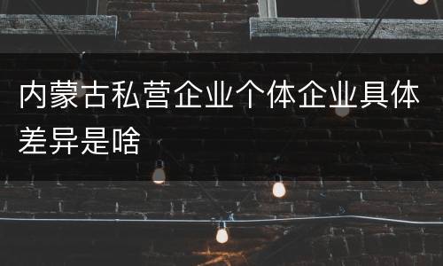 内蒙古私营企业个体企业具体差异是啥