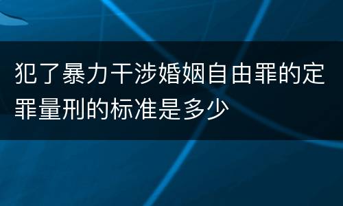 犯了暴力干涉婚姻自由罪的定罪量刑的标准是多少