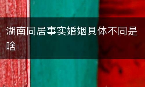 湖南同居事实婚姻具体不同是啥