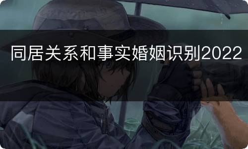 同居关系和事实婚姻识别2022