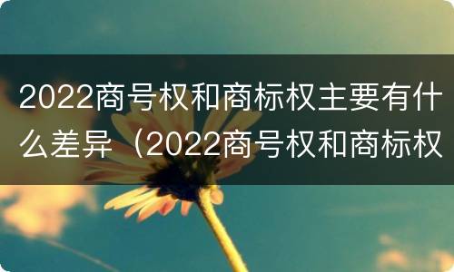 2022商号权和商标权主要有什么差异（2022商号权和商标权主要有什么差异呢）