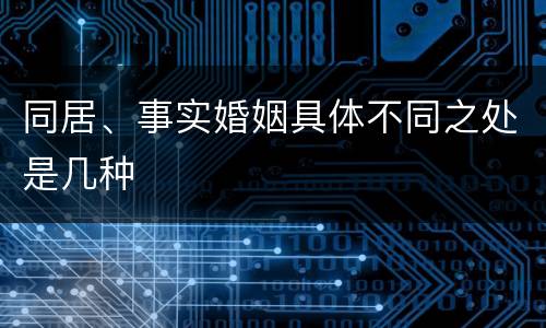 同居、事实婚姻具体不同之处是几种