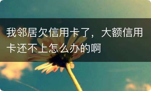 我邻居欠信用卡了，大额信用卡还不上怎么办的啊