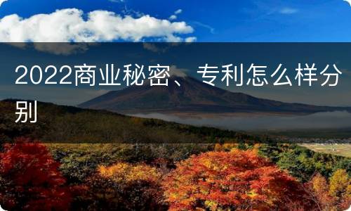 2022商业秘密、专利怎么样分别