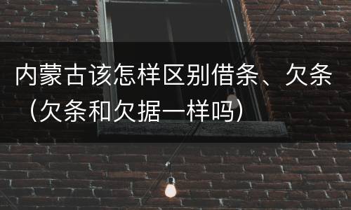 内蒙古该怎样区别借条、欠条（欠条和欠据一样吗）