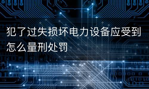 犯了过失损坏电力设备应受到怎么量刑处罚