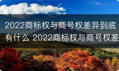 2022商标权与商号权差异到底有什么 2022商标权与商号权差异到底有什么区别