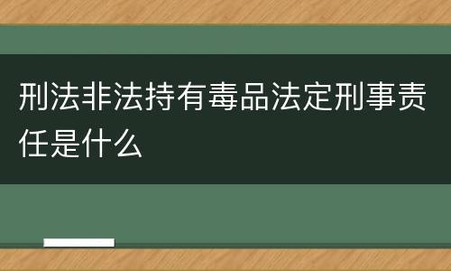 刑法非法持有毒品法定刑事责任是什么