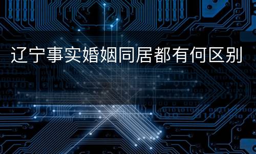 辽宁事实婚姻同居都有何区别