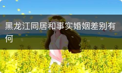 黑龙江同居和事实婚姻差别有何