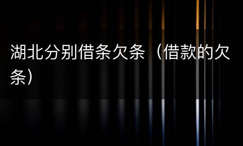 湖北分别借条欠条（借款的欠条）