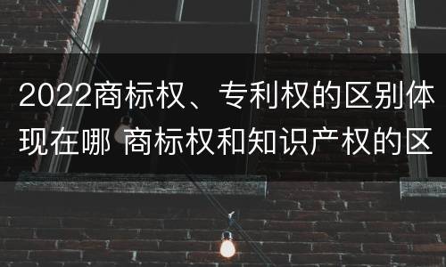 2022商标权、专利权的区别体现在哪 商标权和知识产权的区别