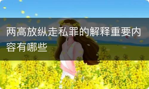 两高放纵走私罪的解释重要内容有哪些