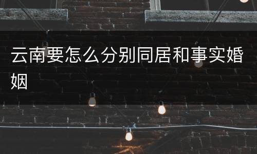 云南要怎么分别同居和事实婚姻