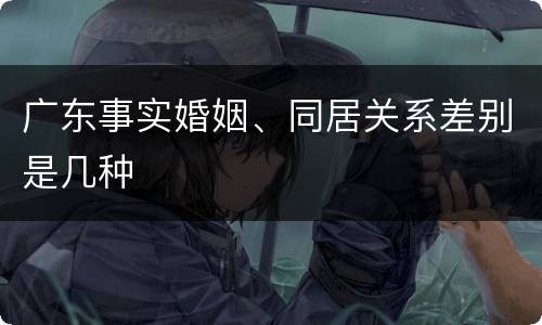 广东事实婚姻、同居关系差别是几种