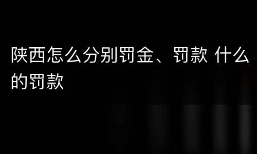 陕西怎么分别罚金、罚款 什么的罚款