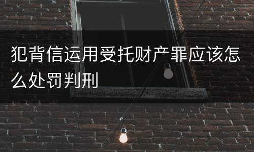 犯背信运用受托财产罪应该怎么处罚判刑